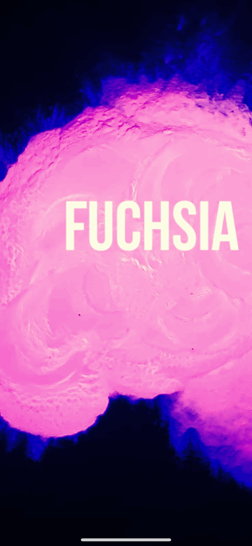 Fuchsia